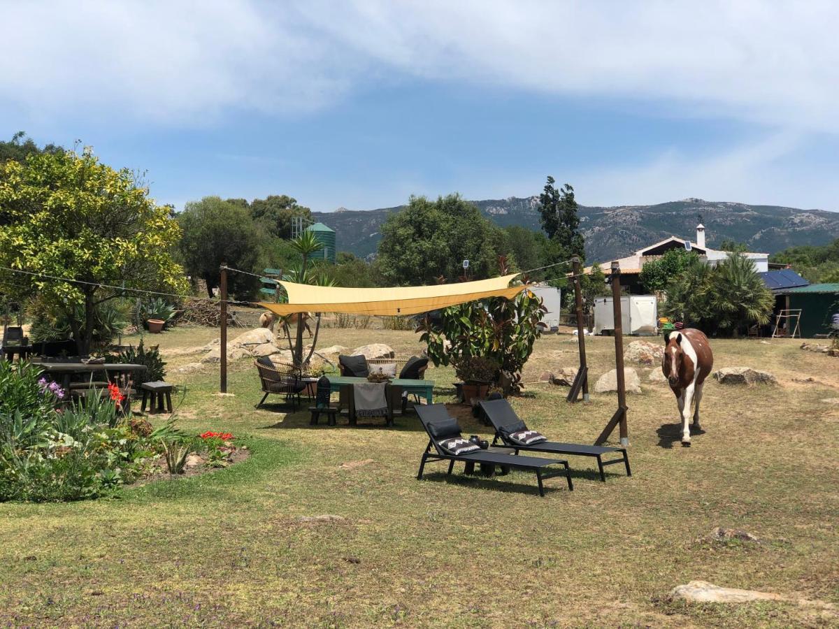 Eco Spirit Tente de luxe